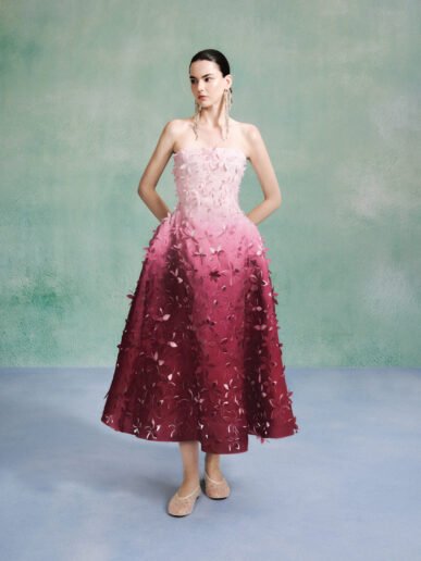 Laser-Cut-Ombre-Gown